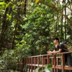 bali giant botanical park