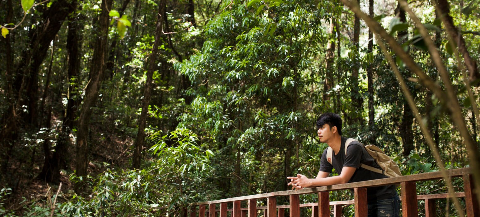bali giant botanical park